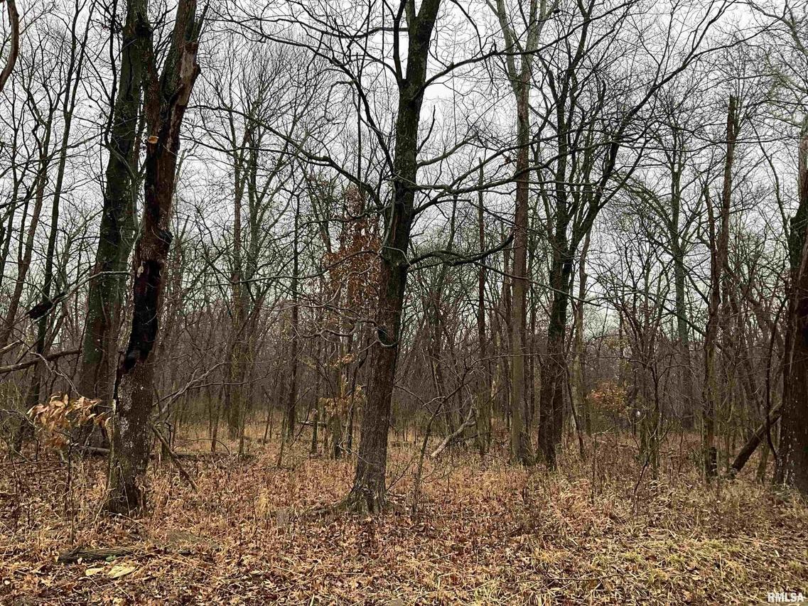 00 S Hoots Chapel Rd., Odin, IL 62870