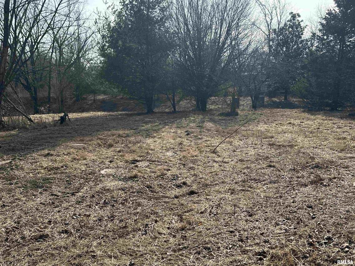 19 Pit Bull Ln., Pomona, IL 62975