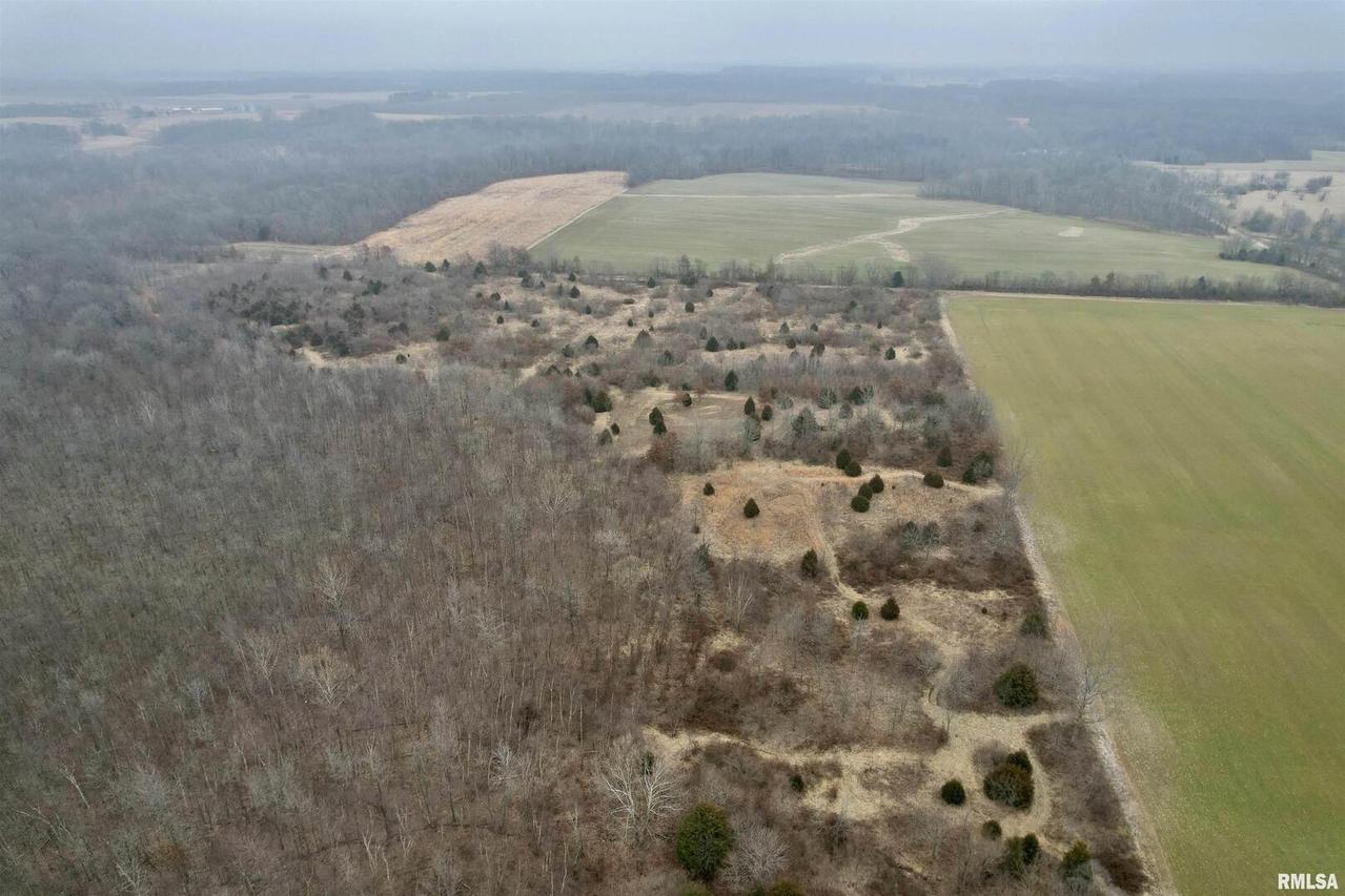 000 County Road 2300 Rd., Rinard, IL 62839