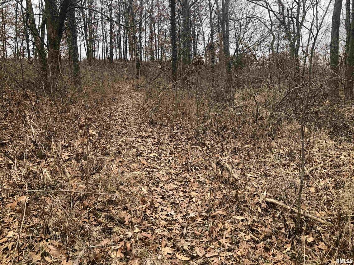 000 Palmetto Dr., Xenia, IL 62899