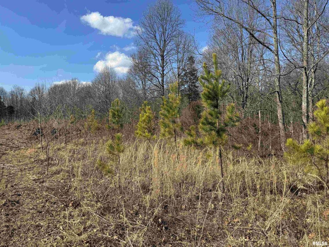 000 Dutton Chapel Rd., Golconda, IL 62938