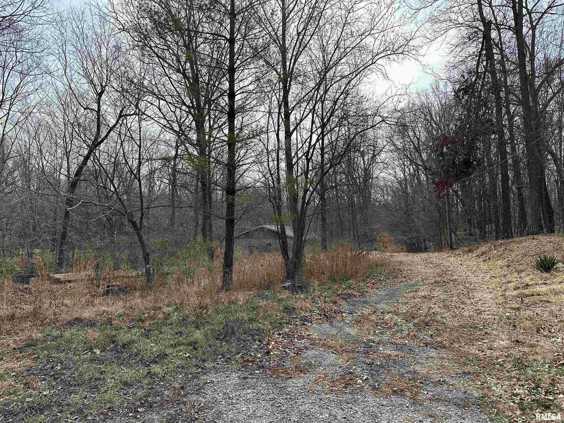 695 Falcon Rd., Carbondale, IL 62902