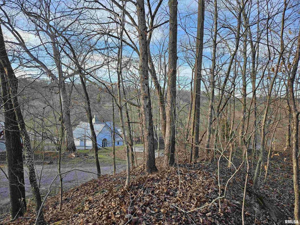 000 Rocky Rd., Makanda, IL 62958