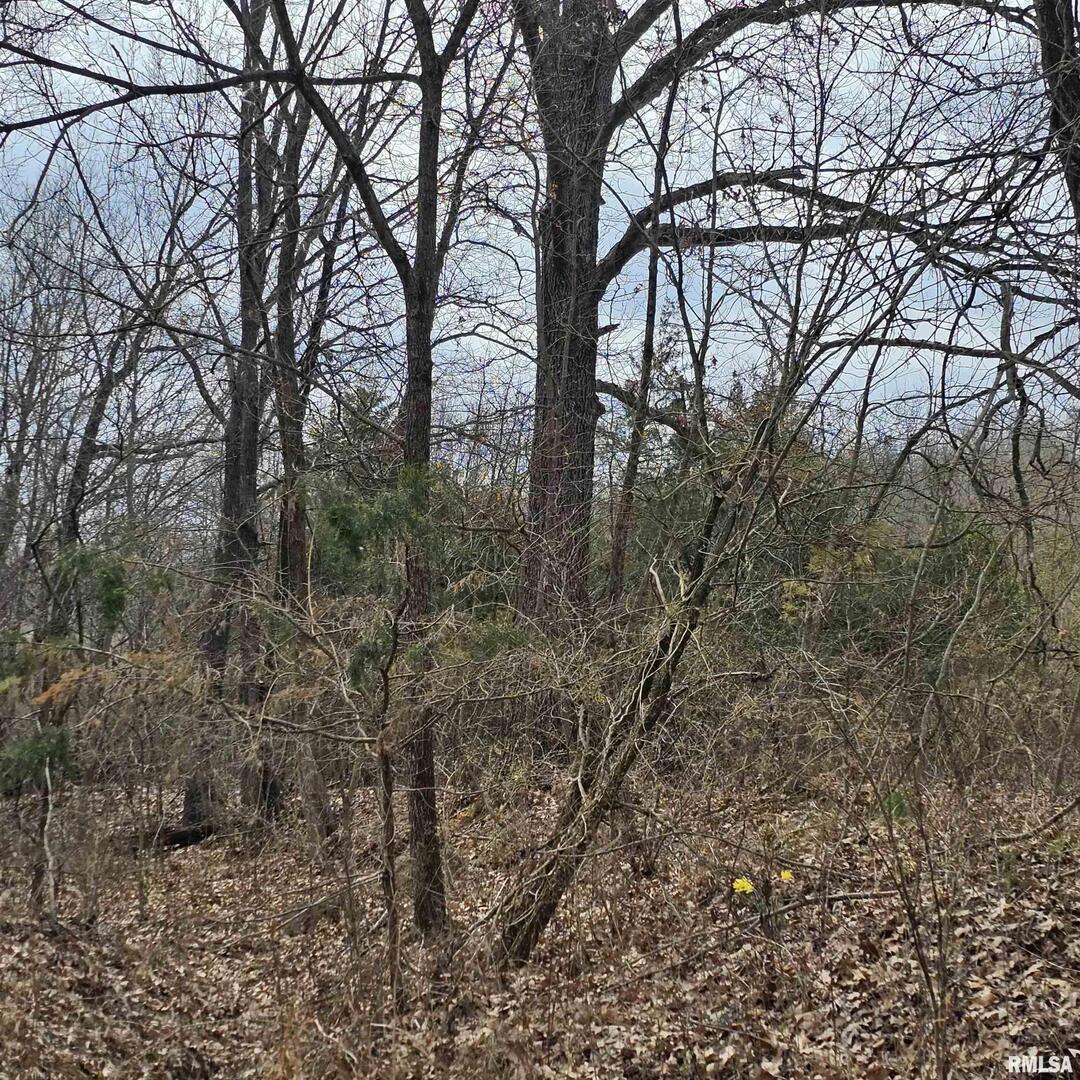 000 Willow Grove Rd., Harrisburg, IL 62946