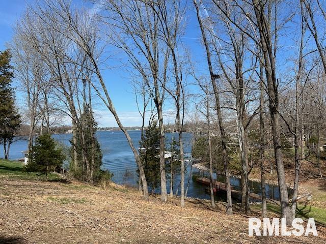 Lot 337 Lake Point, Goreville, IL 62939