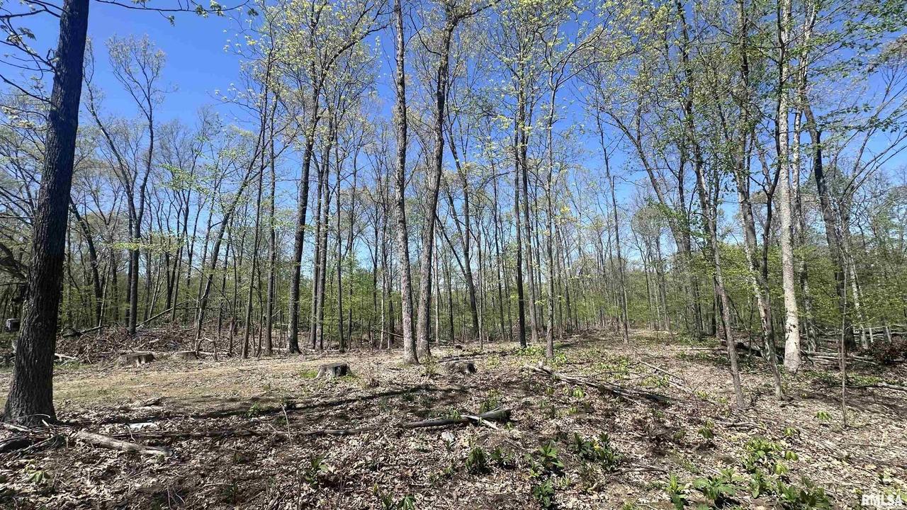 00 E Night Rd., Dix, IL 62830