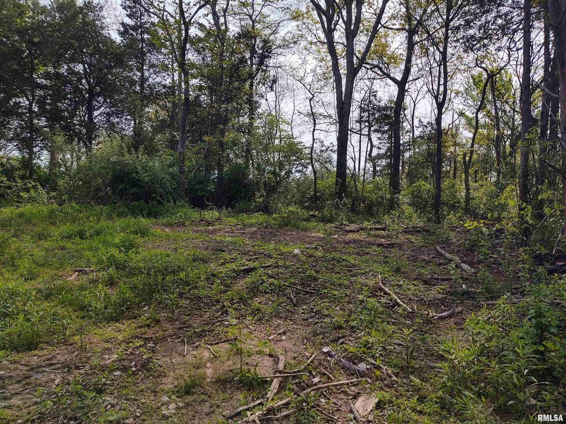 808 Chapman Ln., Goreville, IL 62939