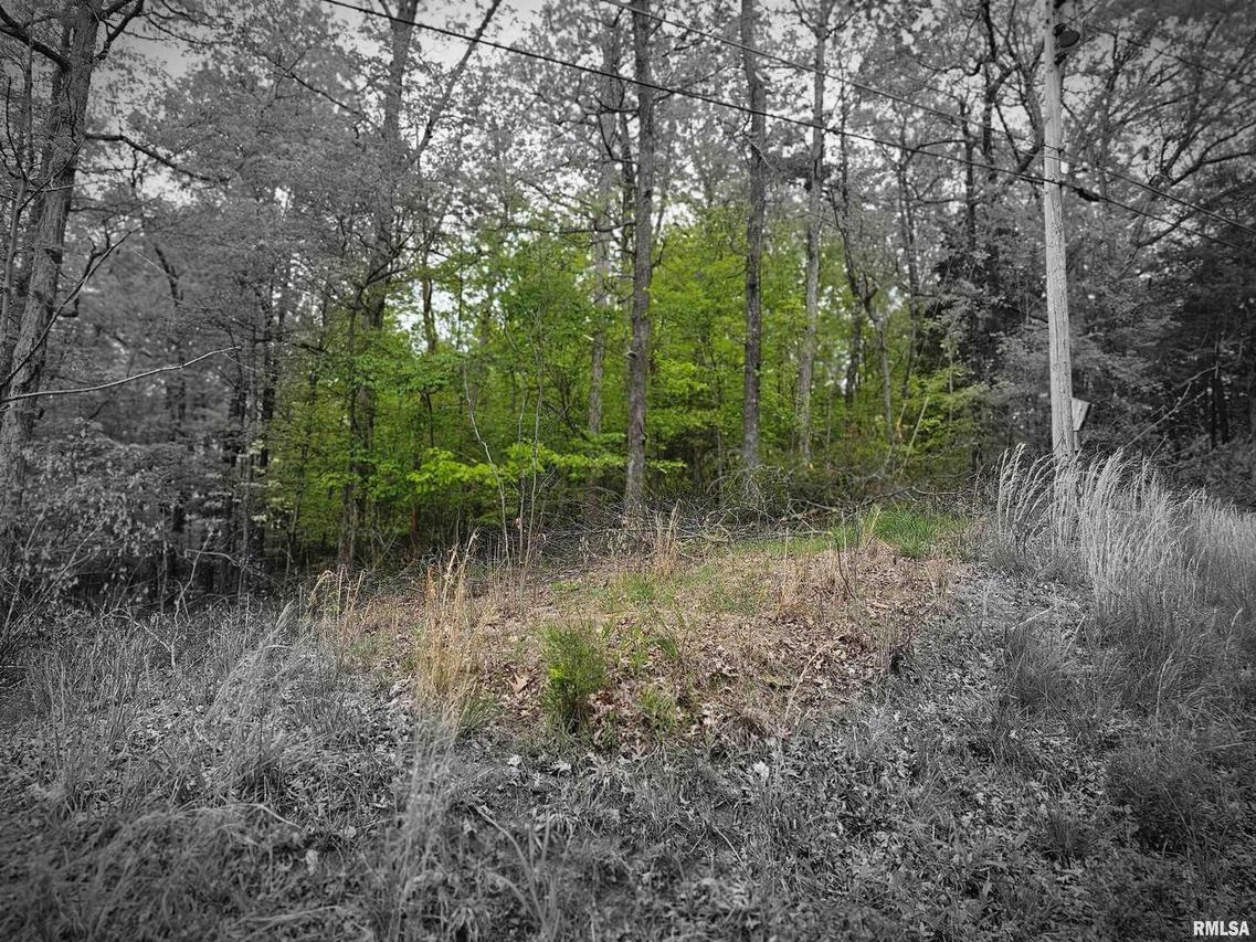 Lots 120 & 121 N Lakeshore Dr., Goreville, IL 62939