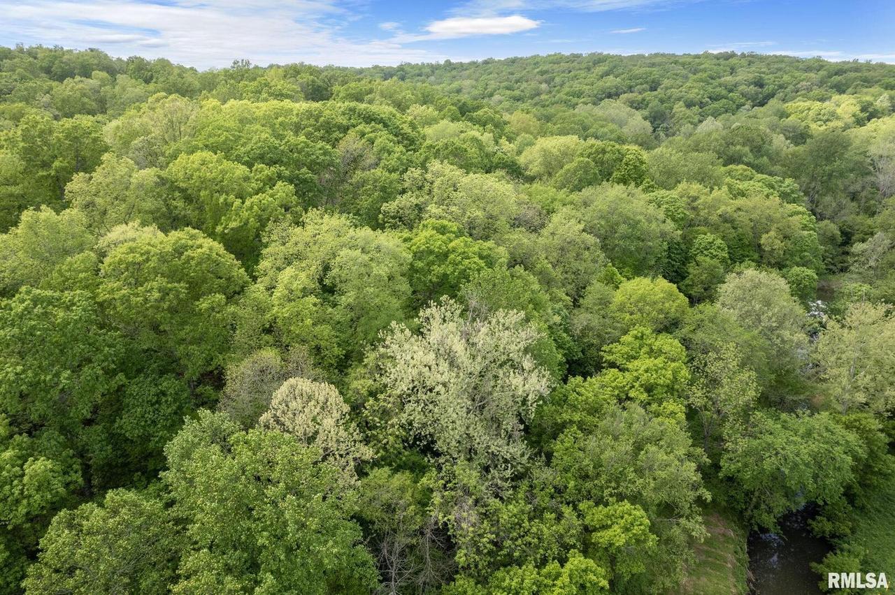 000 Bowman Bottoms Rd., Tunnel Hill, IL 62972