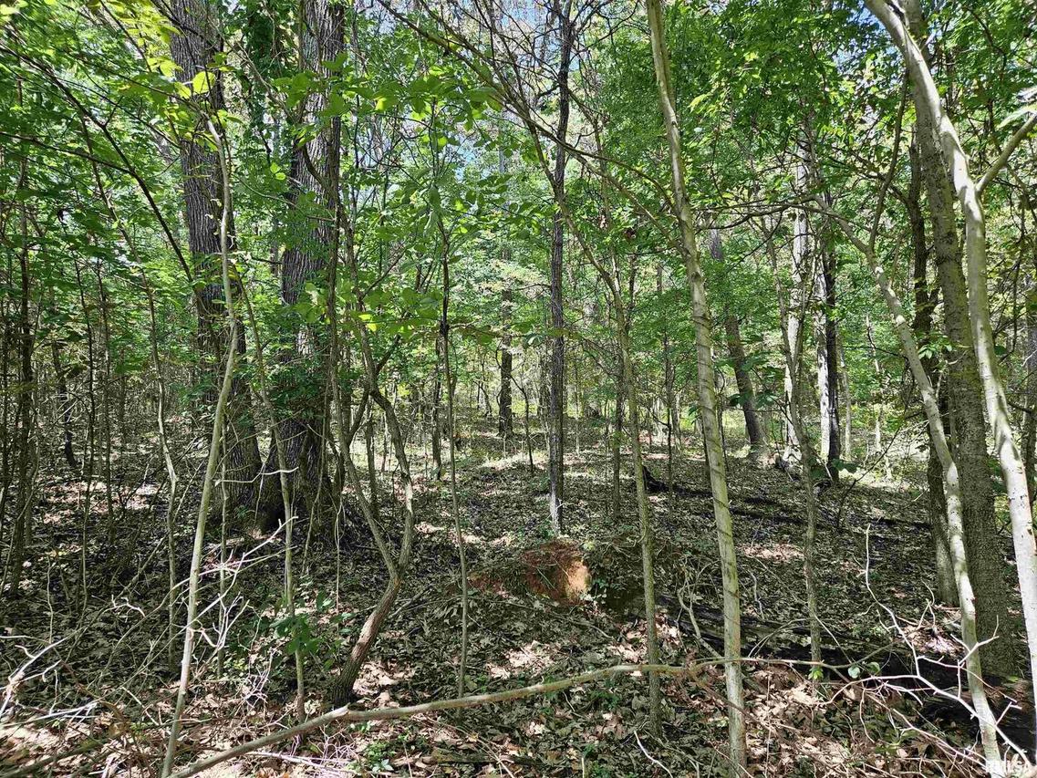 000 Independence Rd., Brookport, IL 62910