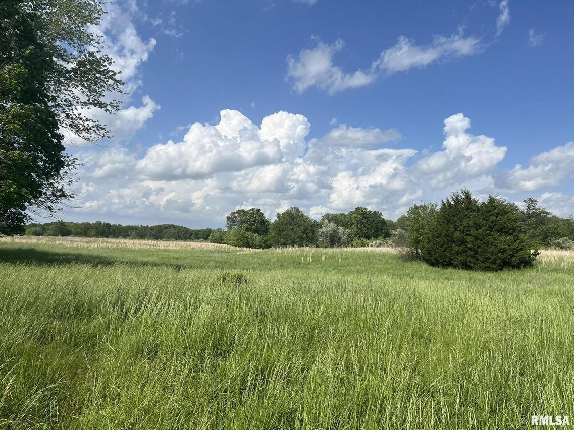 3741 Hicks Rd., Alma, IL 62807