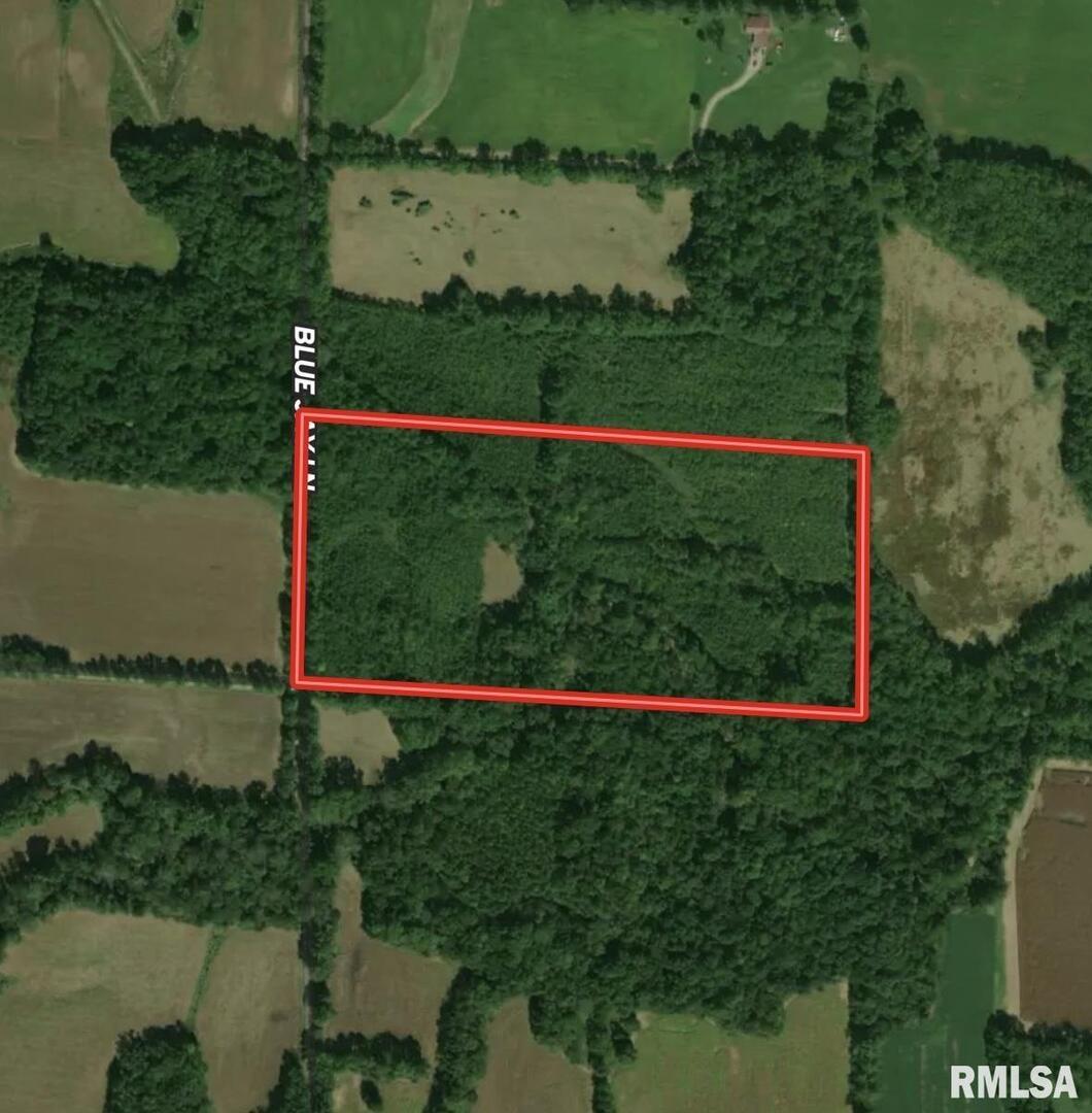 000 Bluejay Ln., Bluford, IL 62814