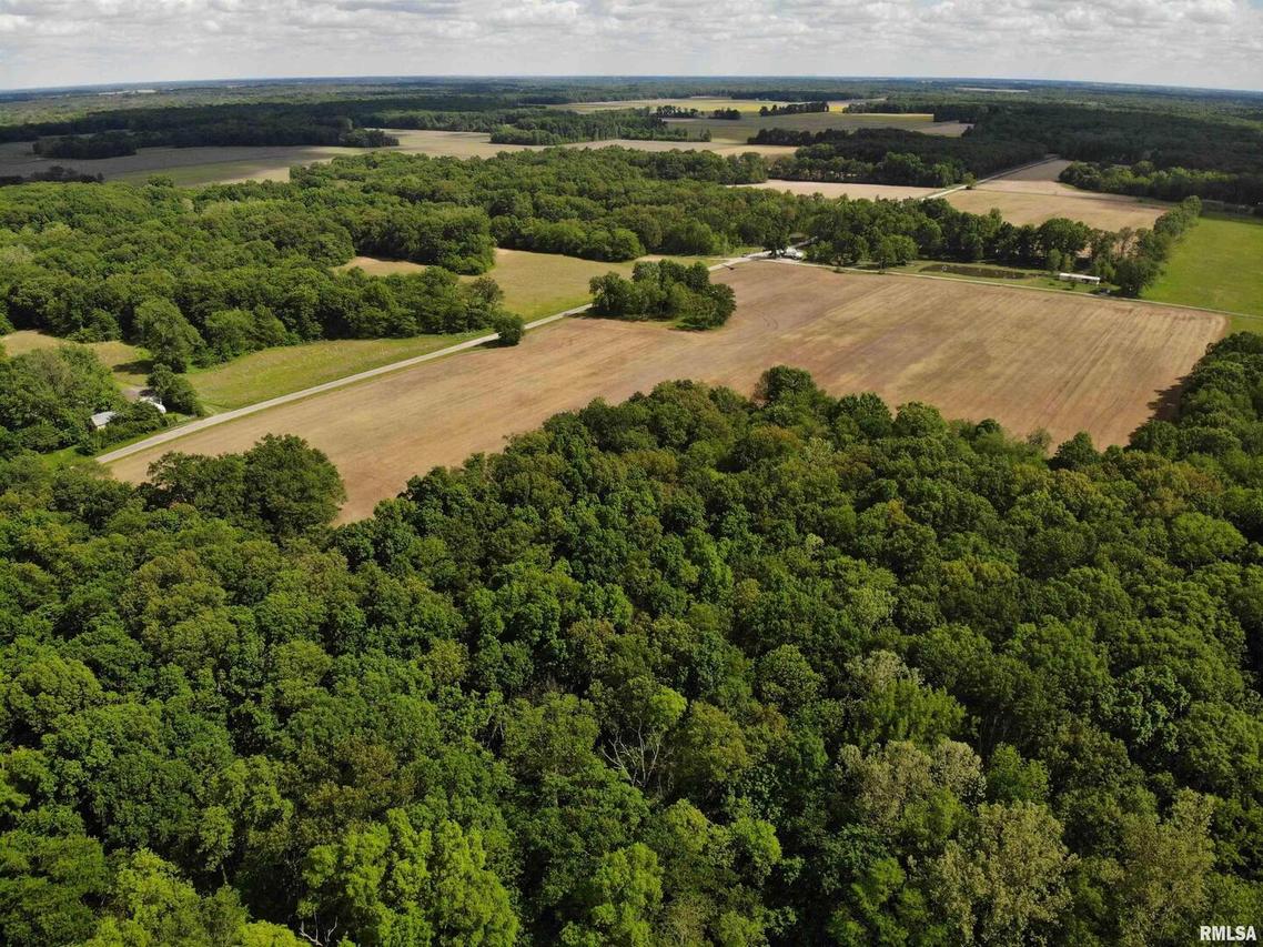 000 Raven Rd., Farina, IL 62838