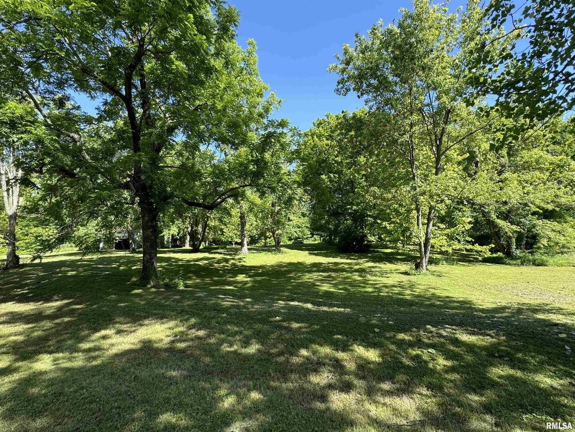 29 Halltown Rd., Golconda, IL 62938