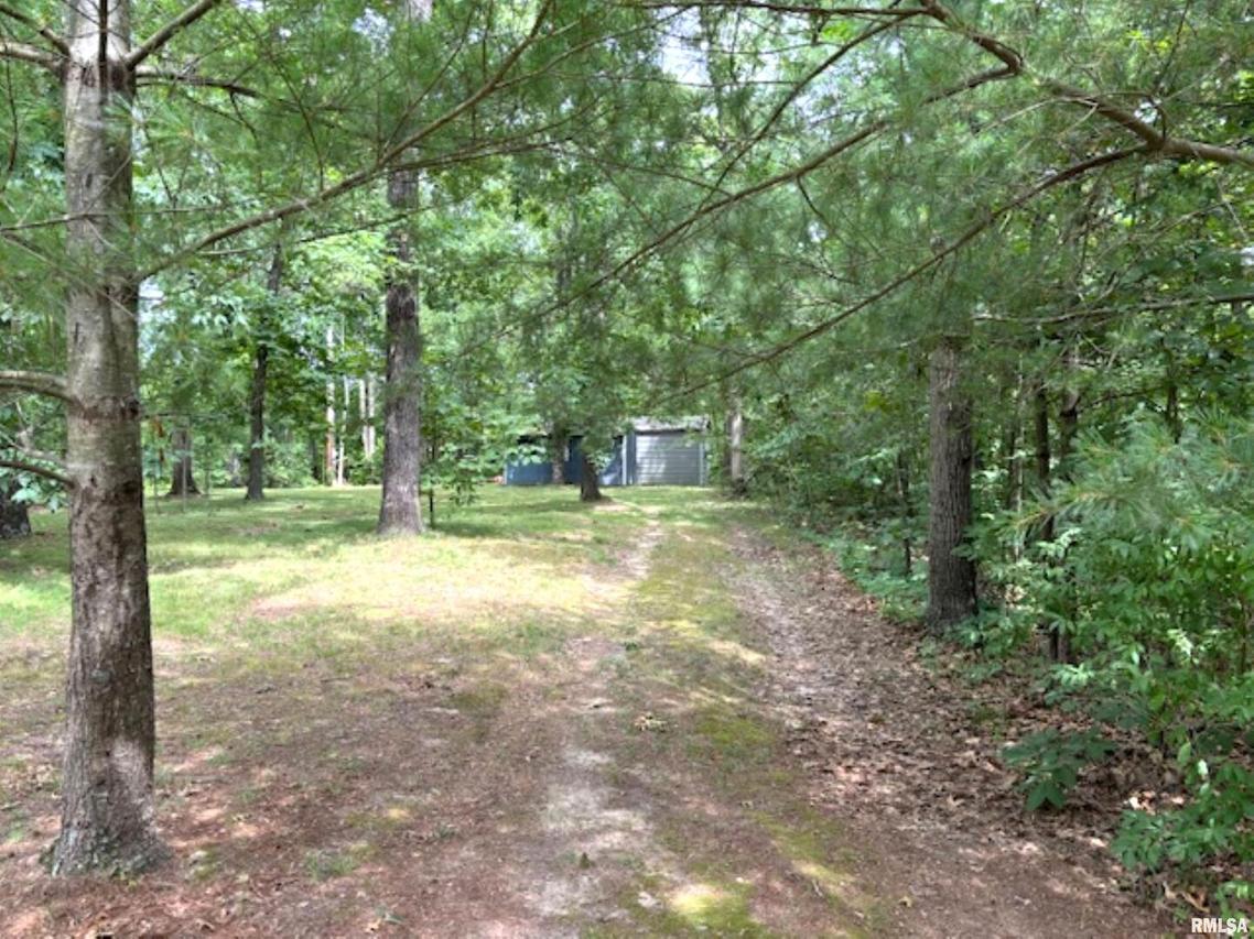 TBD Red Lake Ln., Iuka, IL 62849