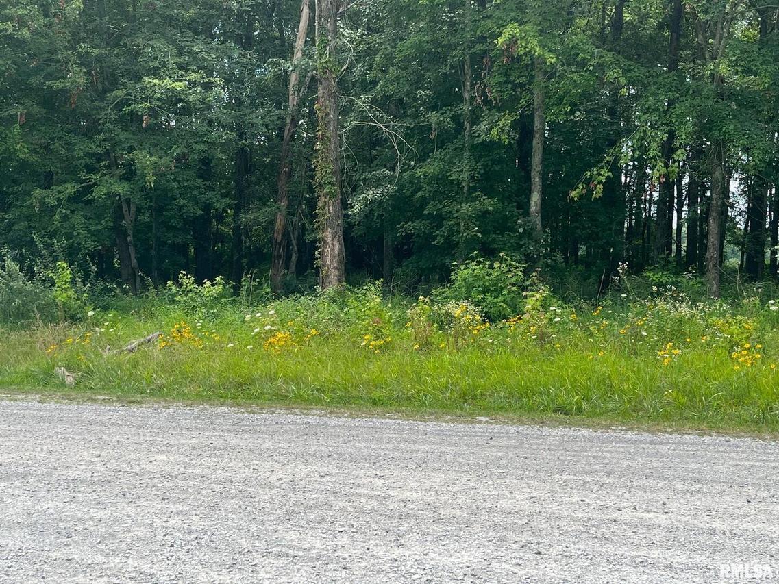 000 Veterans Ave. #TBD, Vienna, IL 62995