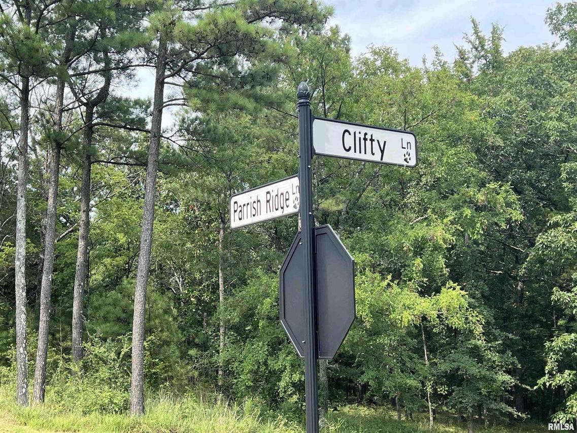 LOT 333 Clifty Ln., Goreville, IL 62939