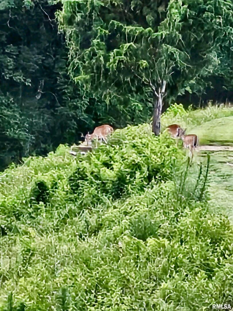 5504 Marion Rd., Metropolis, IL 62960