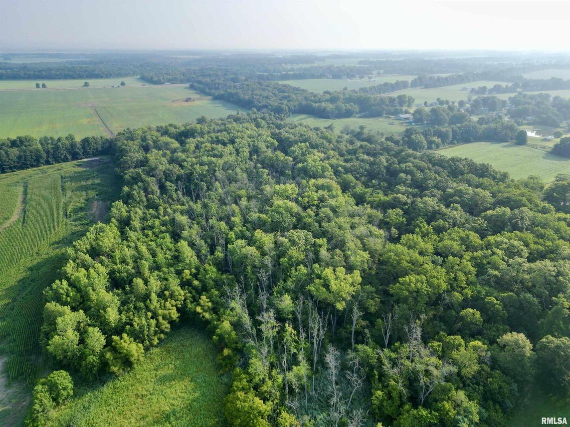 000 E 1575th Ave., Vandalia, IL 62471