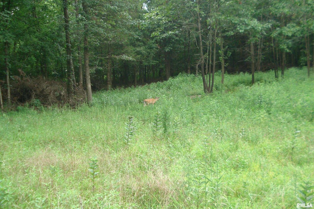 000 Shawnee Dr., Goreville, IL 62939