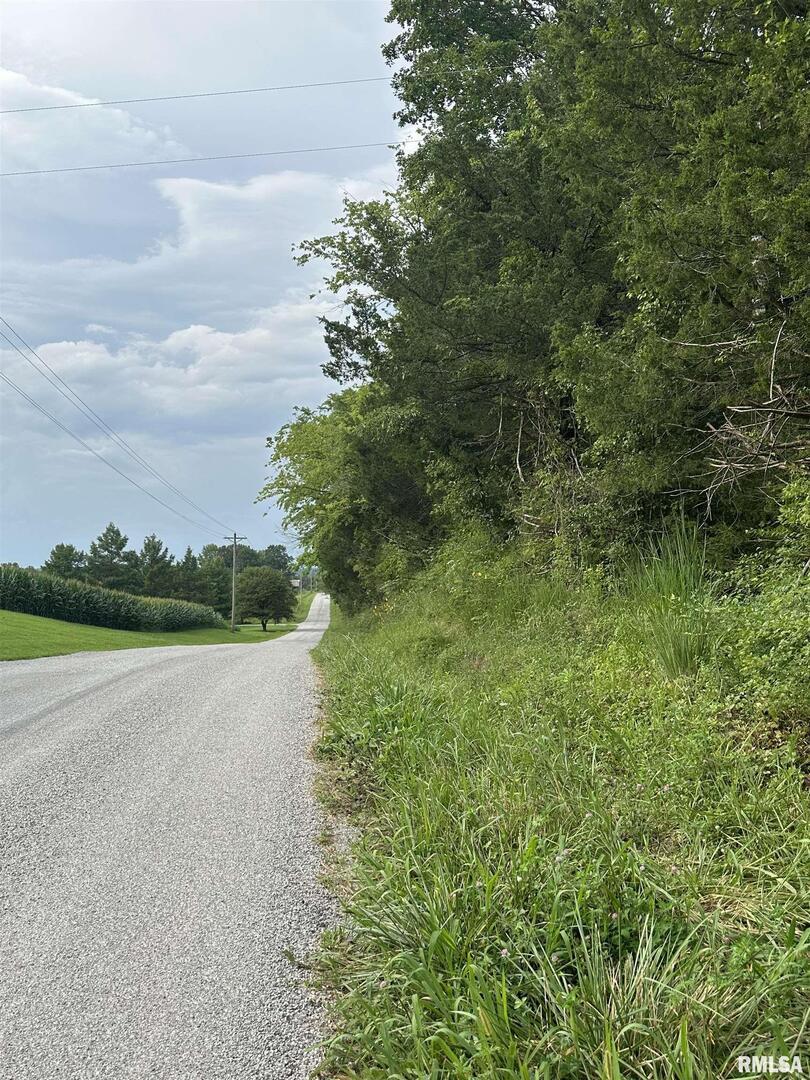 1040 Blueberry Hill Rd., Cobden, IL 62920