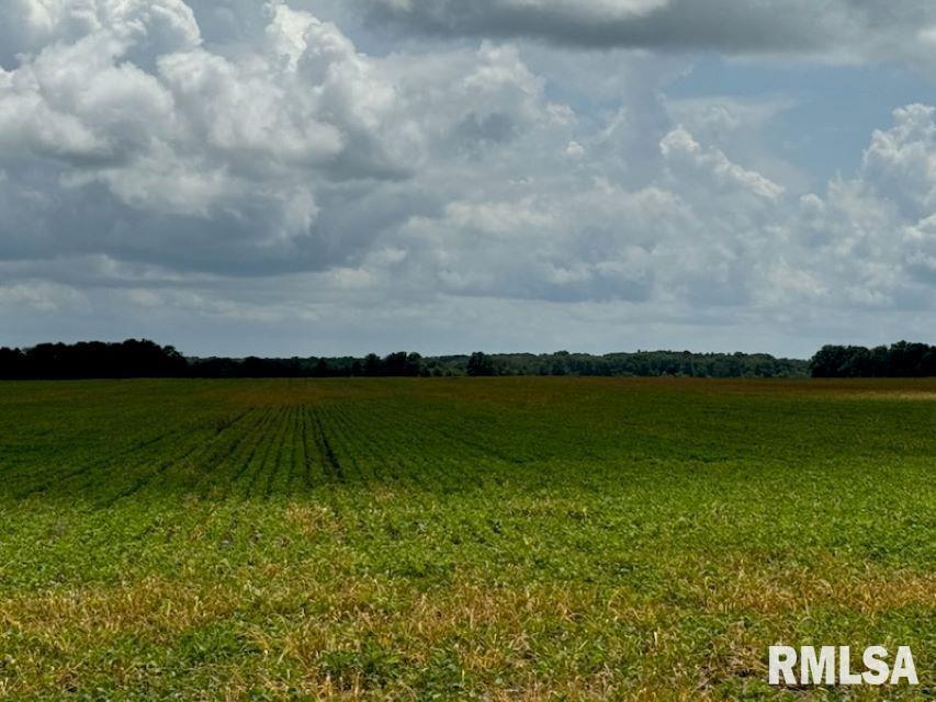 0000 E Violet Rd., Mt Vernon, IL 62864