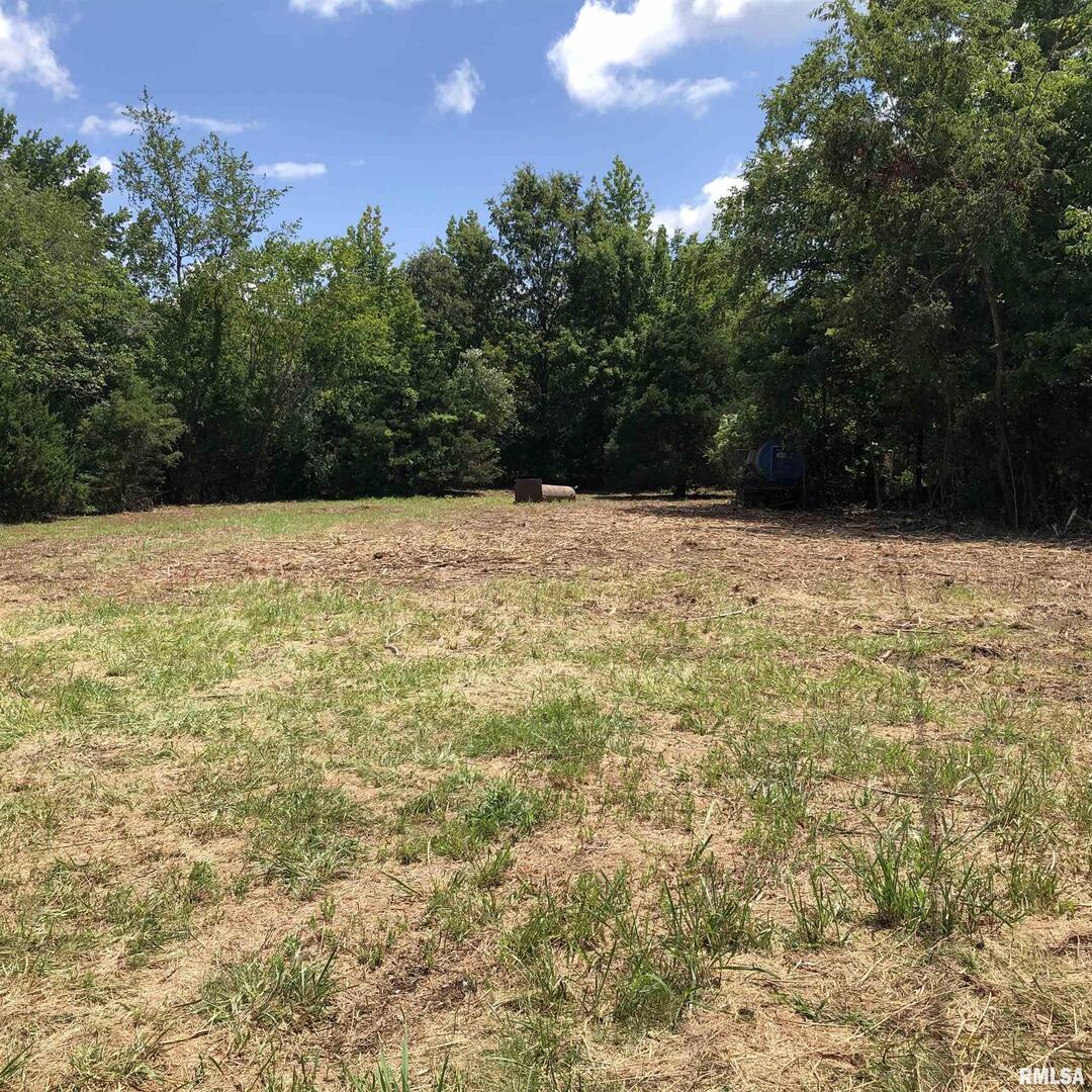 0000 E Illinois Highway 15, Woodlawn, IL 62898