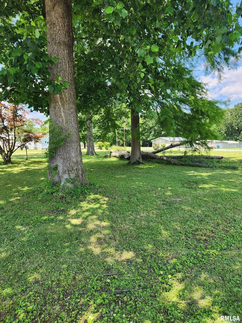 211 N Chestnut St., Sesser, IL 62884