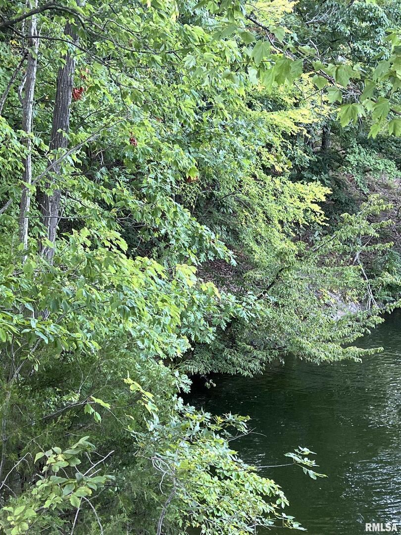 000 S Lakeshore Dr., Goreville, IL 62939