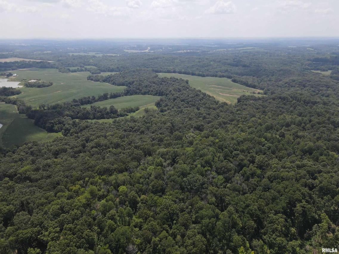 000 Schwartz Hill Ln., Vienna, IL 62995