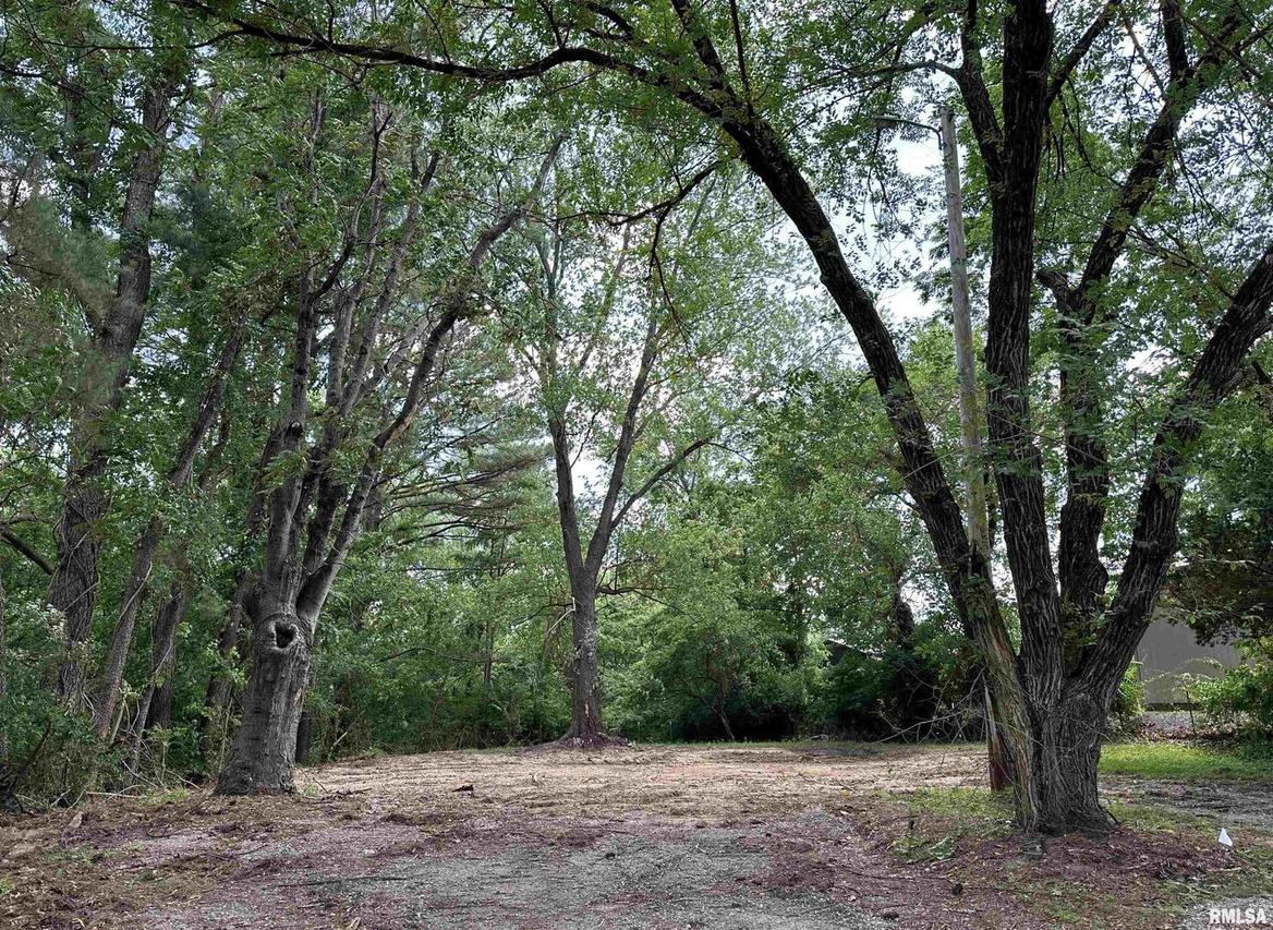 360 Wells St., Murphysboro, IL 62966