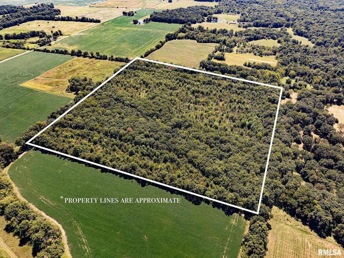 Hanna Rd., Kinmundy, IL 62854