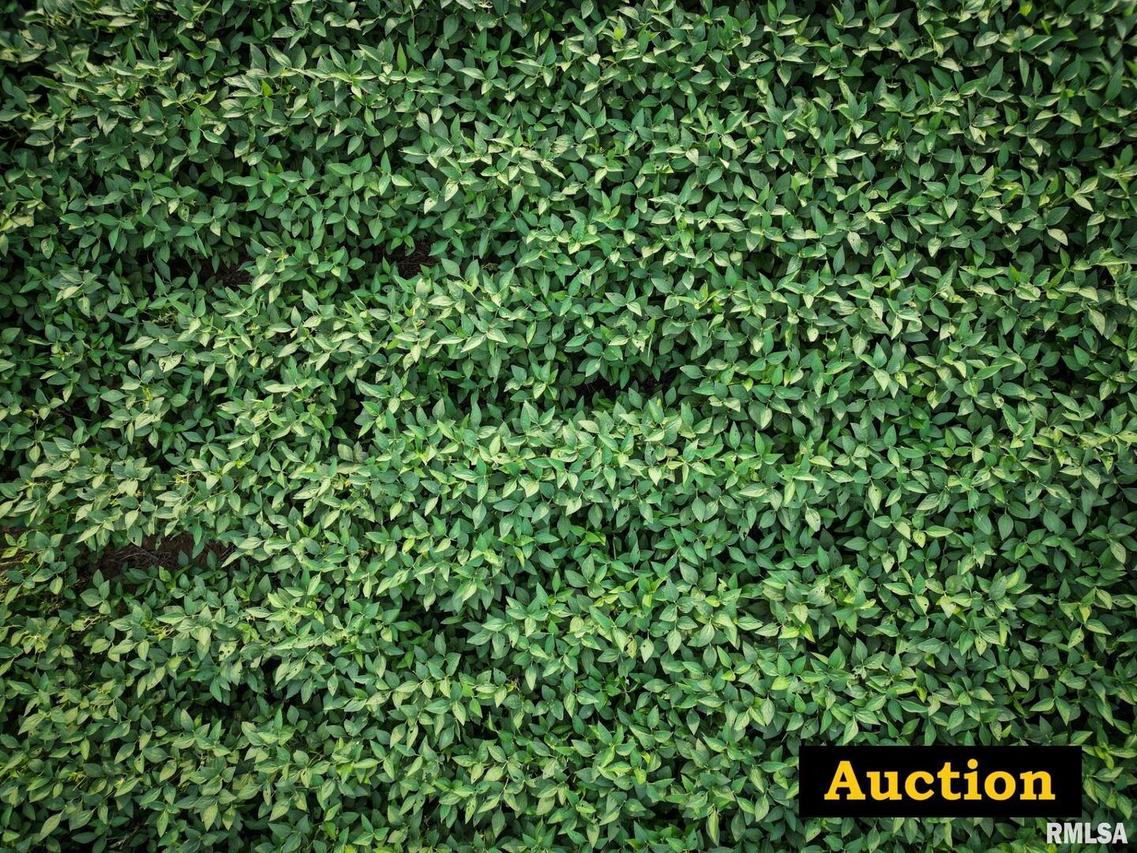 000 Washington St., Ava, IL 62907