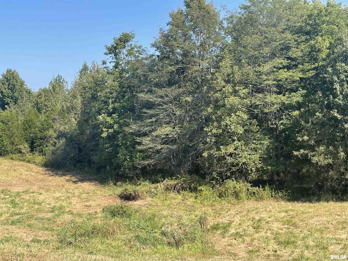 003 Hawk Hill Ln., Buncombe, IL 62912