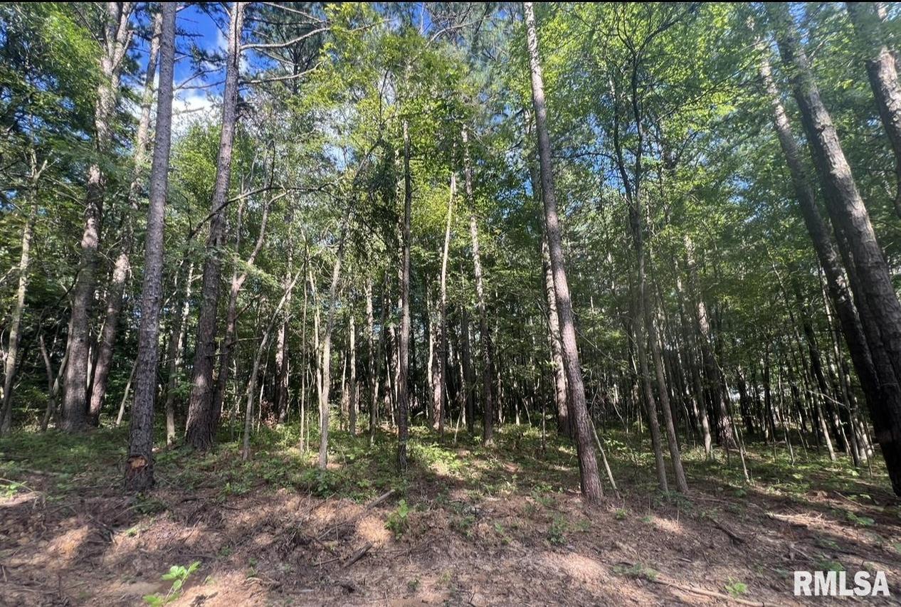 New Home Rd., Stonefort, IL 62987