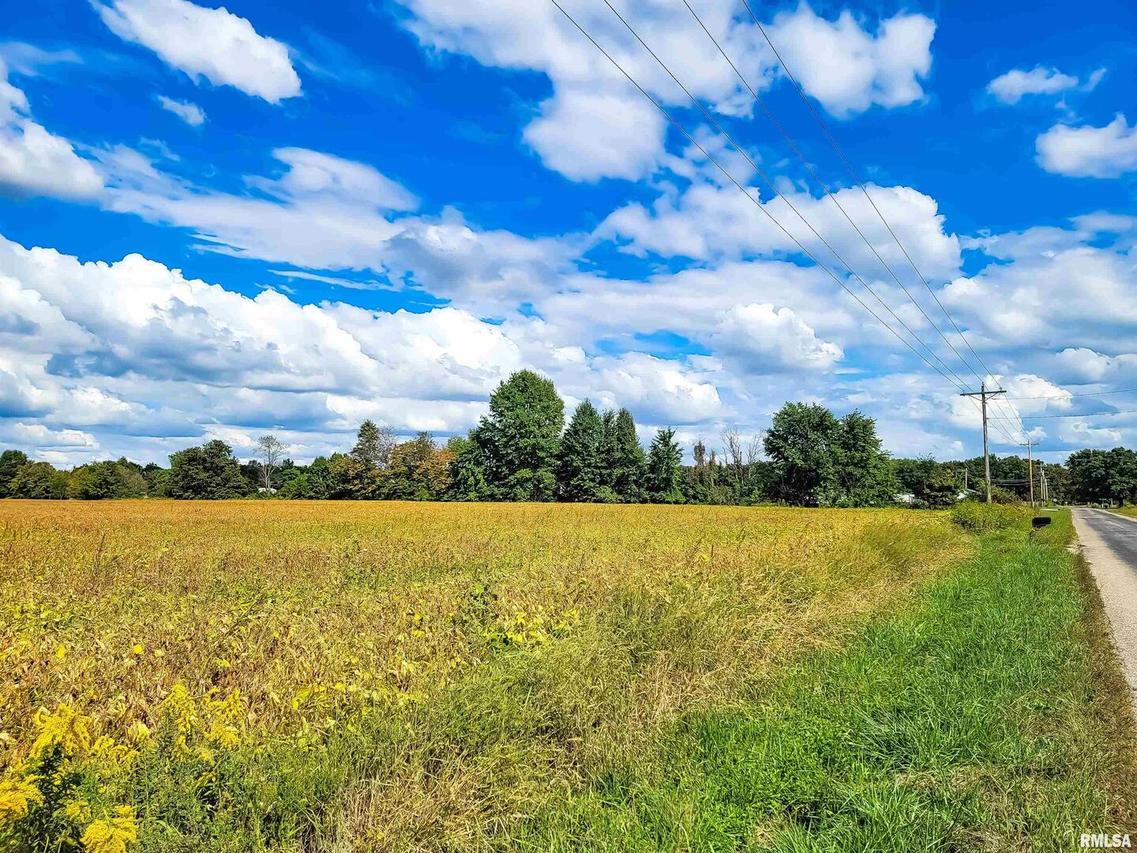 Tract 2 Coon Creek Rd., Flora, IL 62839