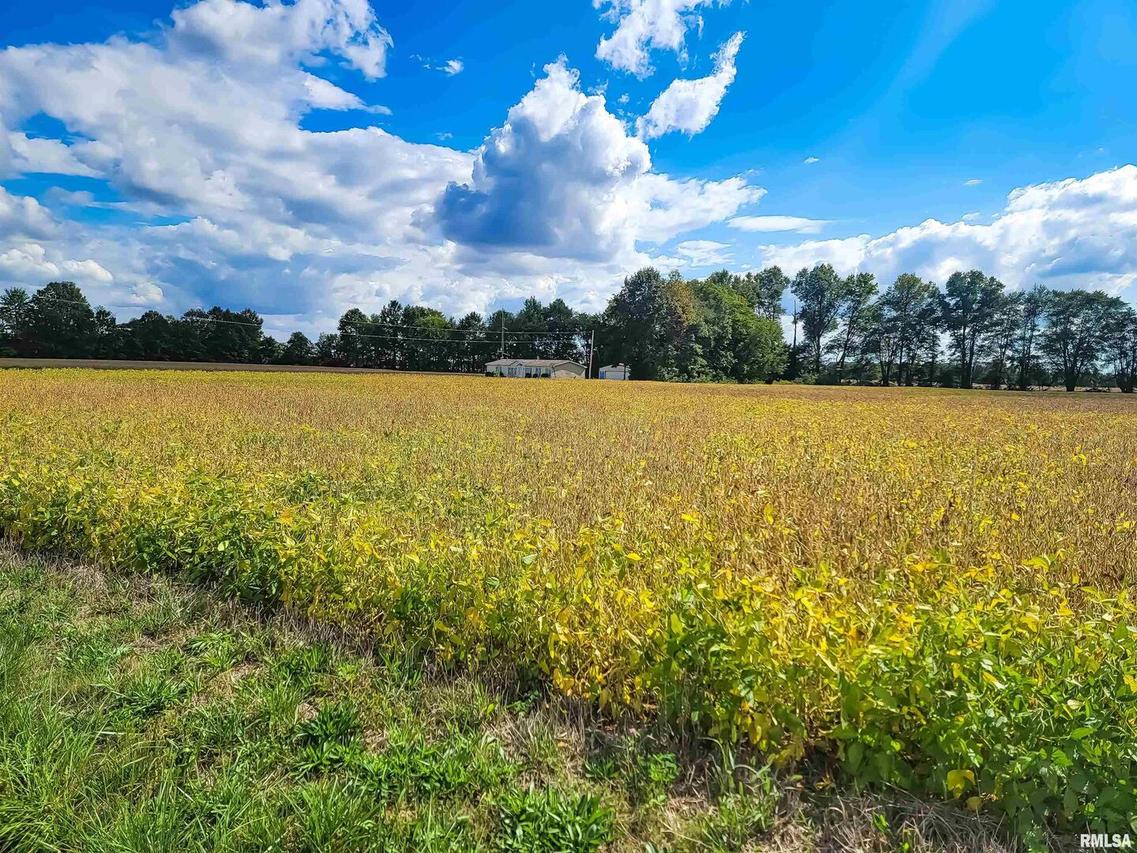 Tract 3 Coon Creek Rd., Flora, IL 62839