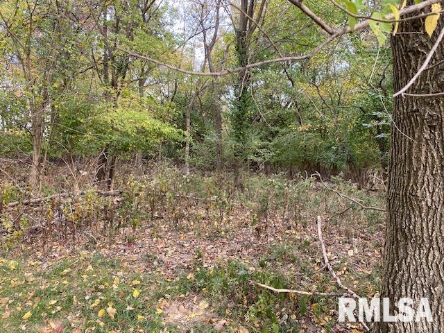 000 Barnett Ave., Carterville, IL 62918