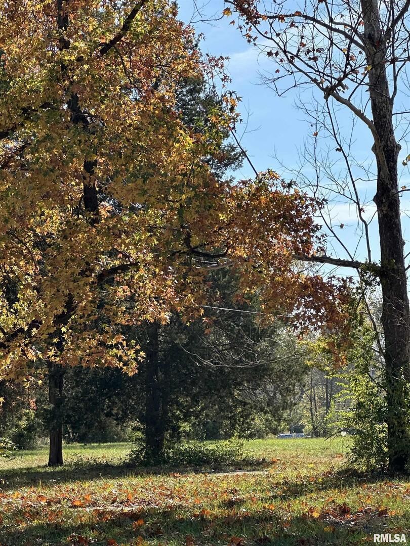 1409 S Pine St., Centralia, IL 62801