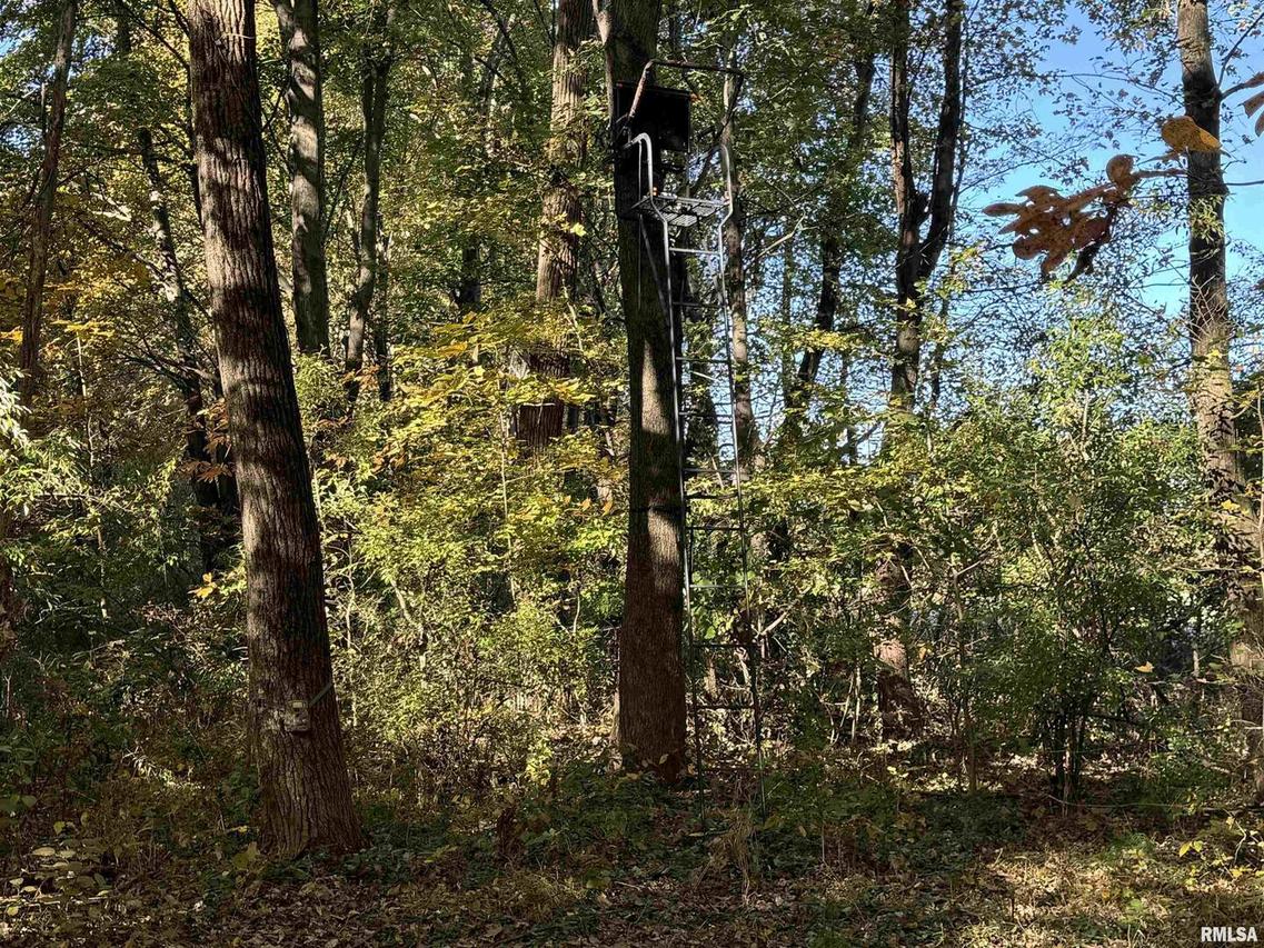 000 Coon Creek Ln., Flora, IL 62839