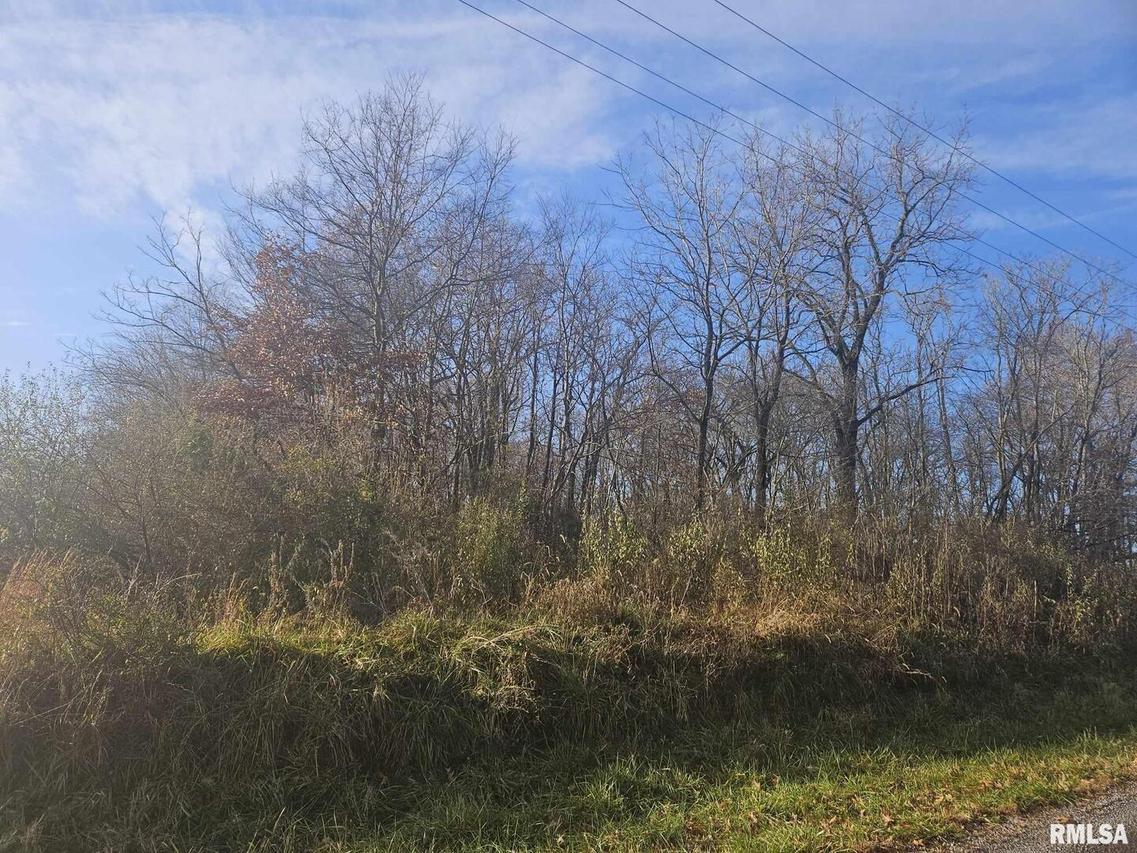 0000 Eakin Grove Rd., Benton, IL 62812