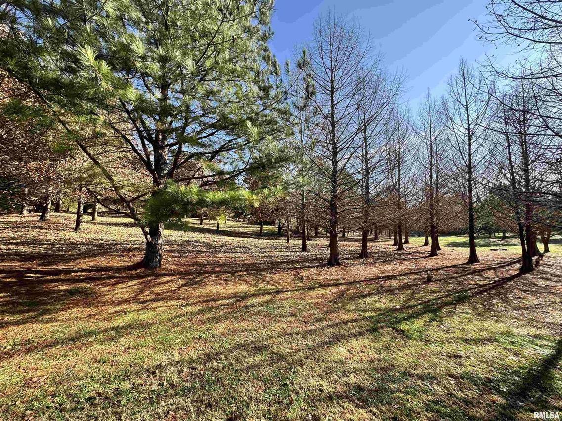 000 County Road 1025 E Rd., Cisne, IL 62823