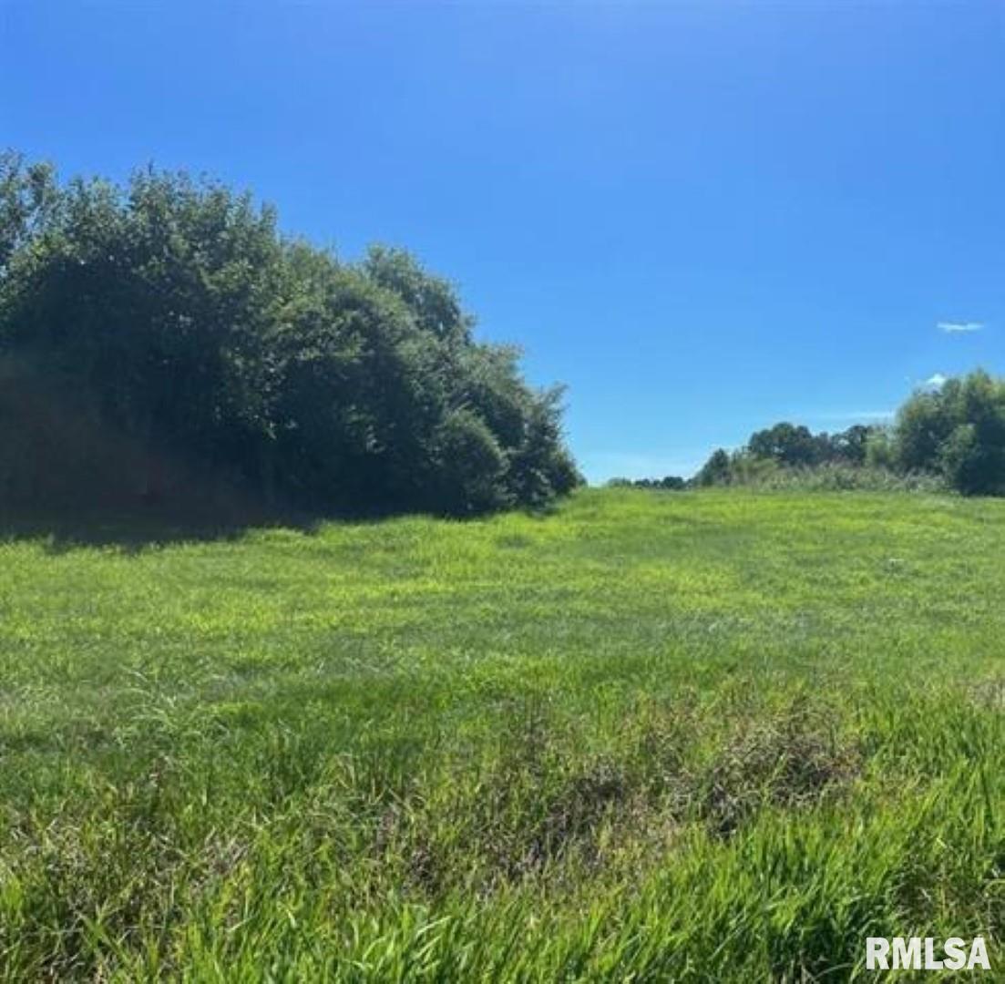 Lot 9 Viola Ln., Murphysboro, IL 62966