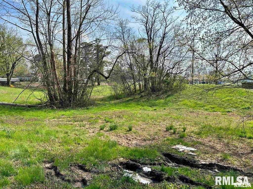 00 Lewis St., Golconda, IL 62938