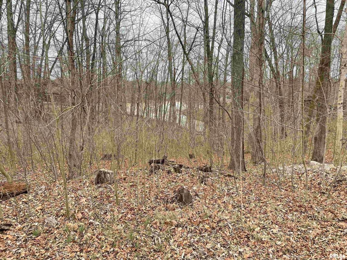 0000 Iroquois Tr., Murphysbor, IL 62966