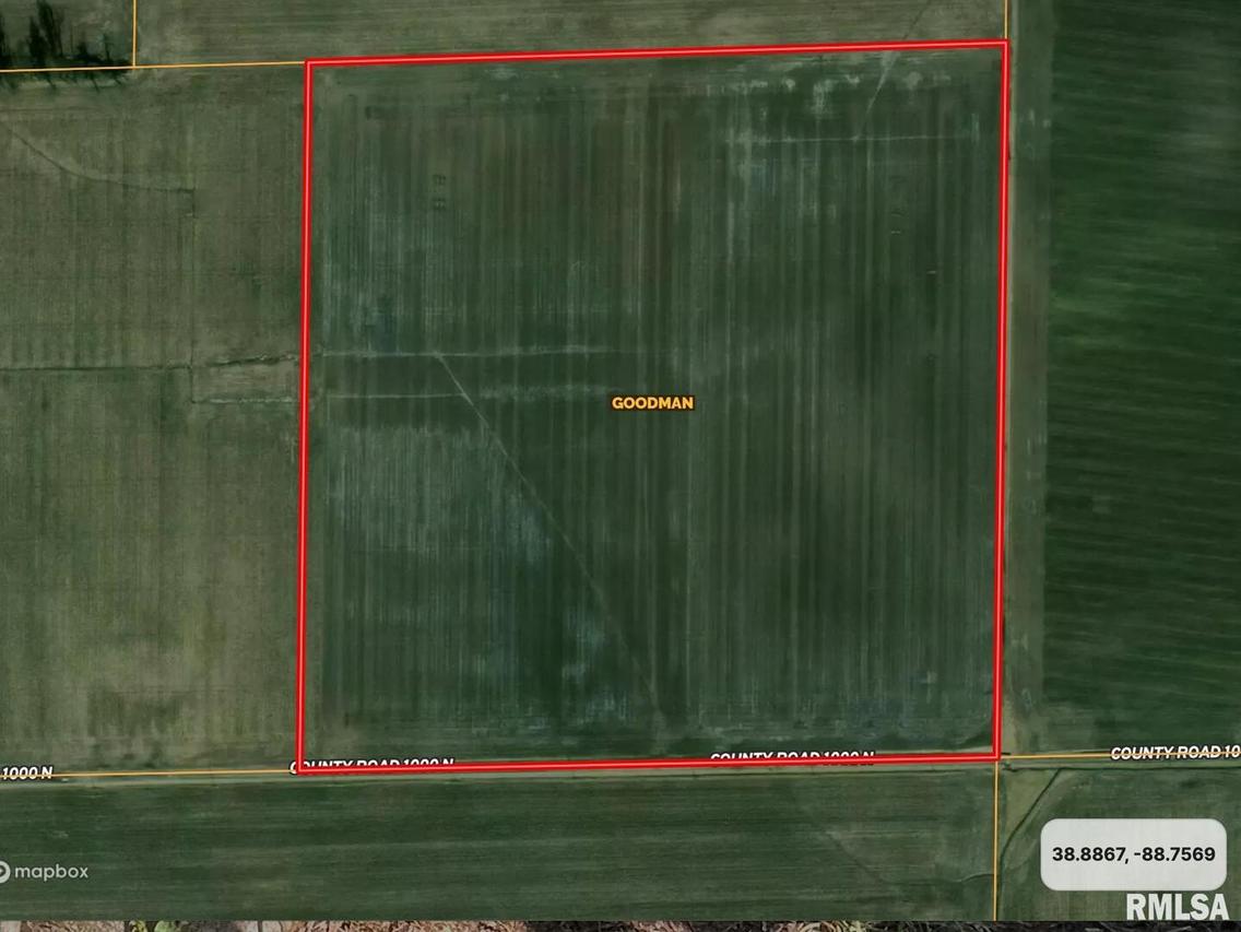 000 1000 N Rd., Farina, IL 62838