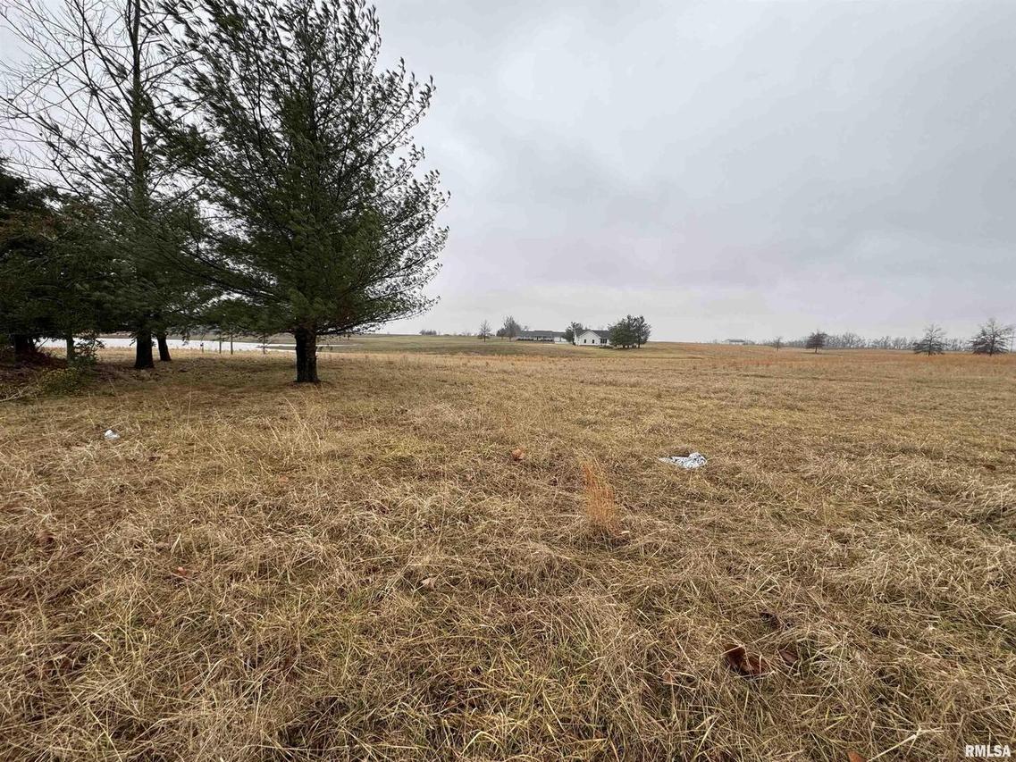 Lot 1&2 Raleigh Rd., Eldorado, IL 62930