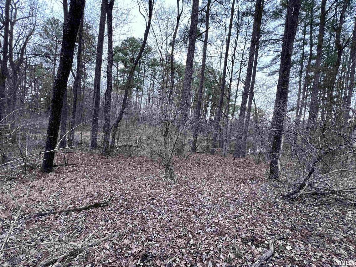 449 Pine Ln., Murphysboro, IL 62966