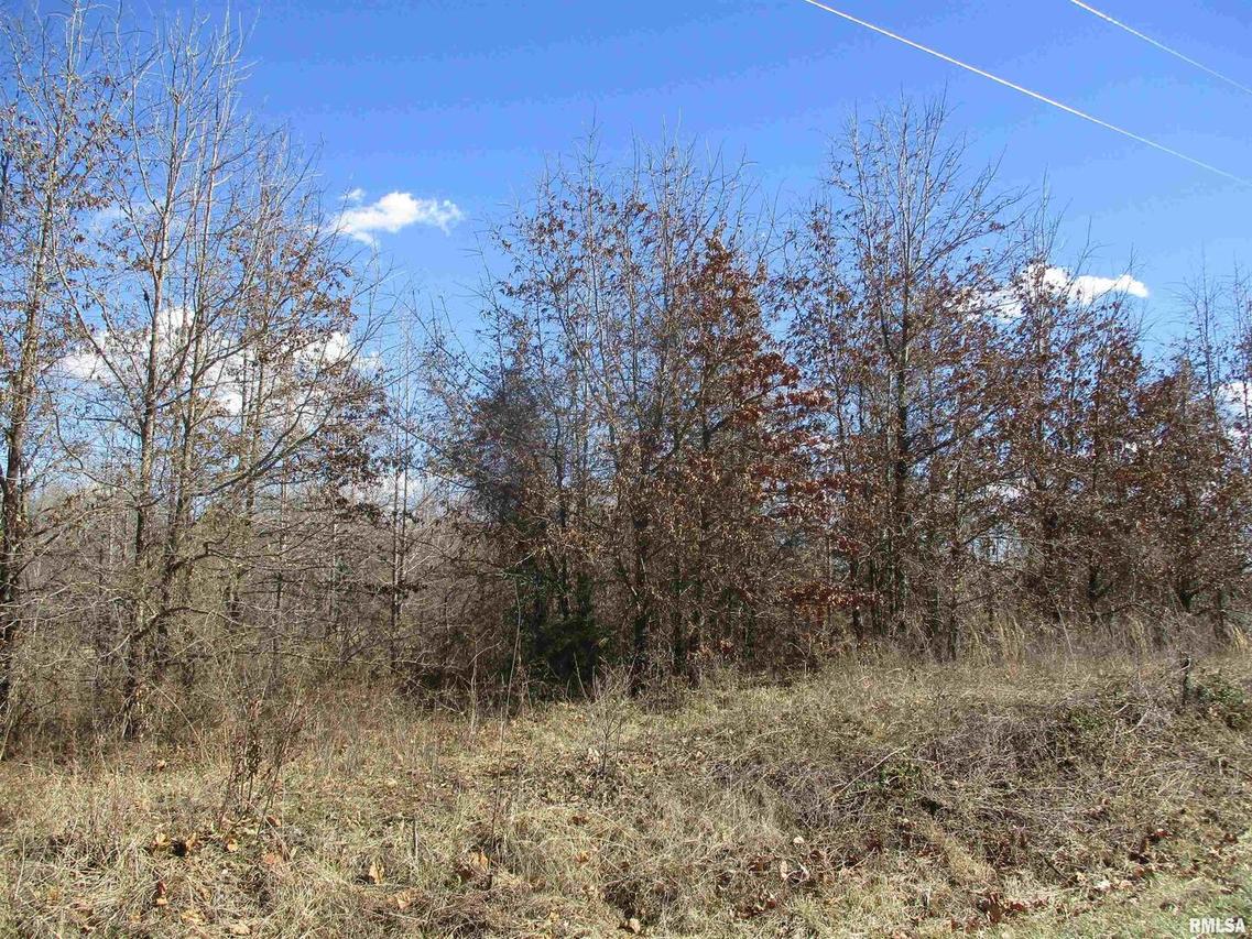 0000 Antioch Rd., West Frankfort, IL 62896