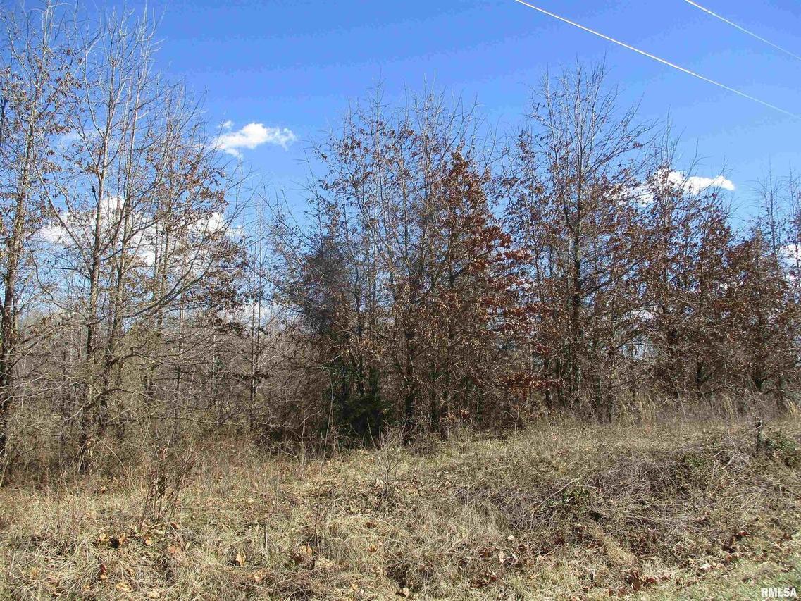 0000 Antioch Rd., West Frankfort, IL 62896